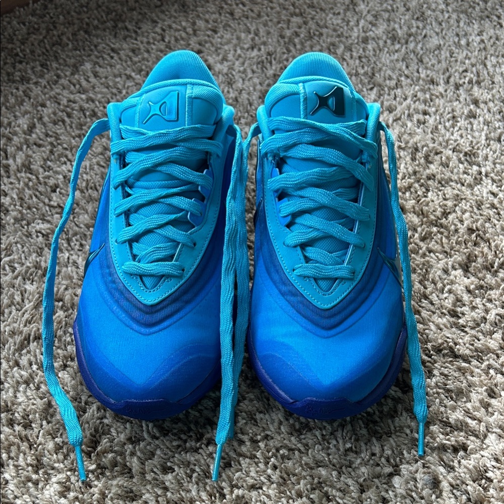 Nike A'One "Indigo Girl" Basketball Sneaker